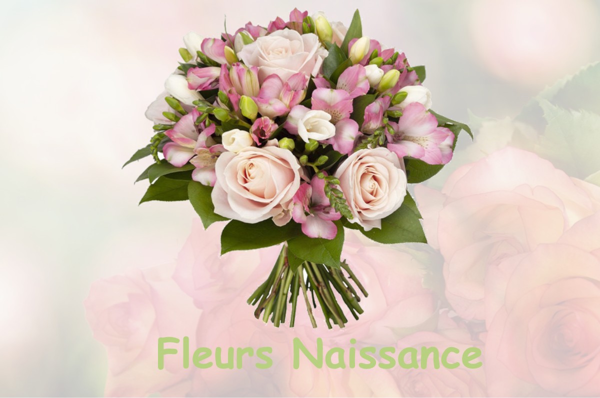 fleurs naissance FRAISNES-EN-SAINTOIS